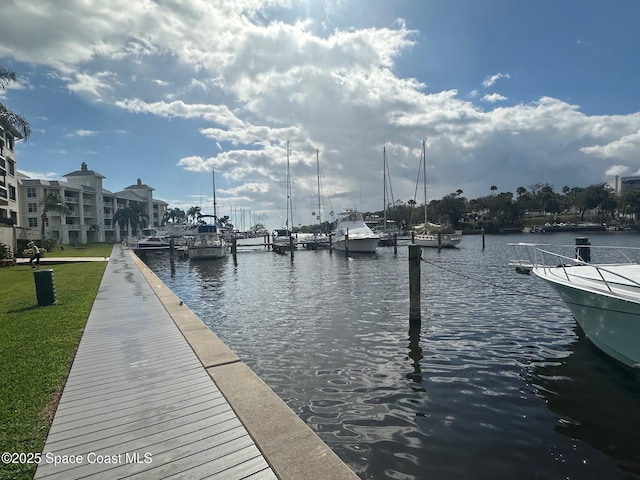 dock area with a water view