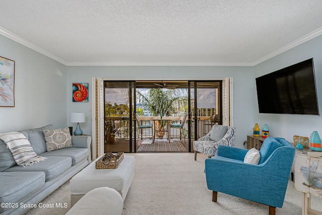 carpeted living area featuring ornamental molding and a textured ceiling