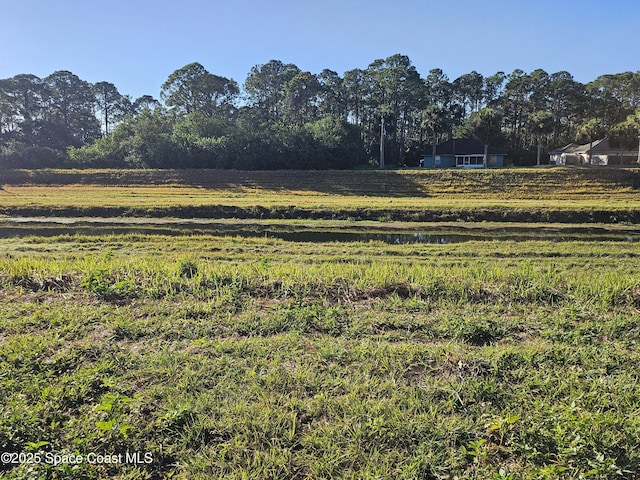 view of yard with a rural view