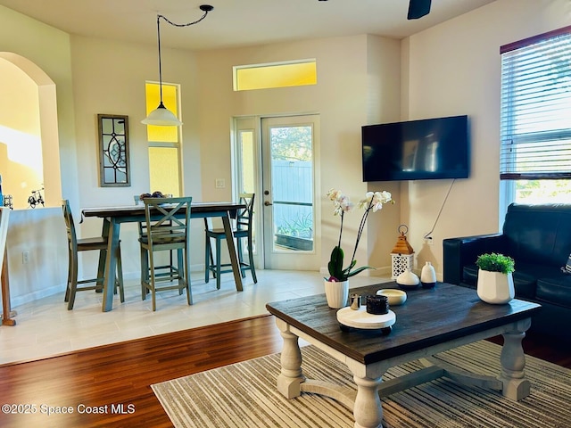 living room featuring light hardwood / wood-style flooring and a wealth of natural light