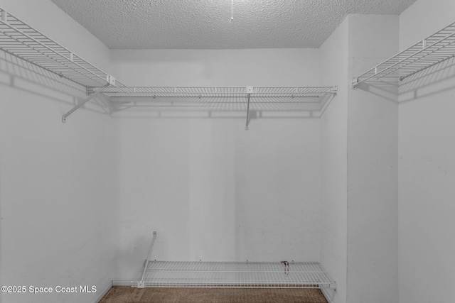 walk in closet featuring carpet flooring