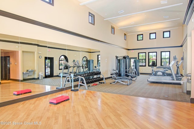 workout area featuring hardwood / wood-style flooring and a towering ceiling