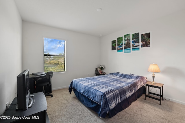 bedroom with light carpet