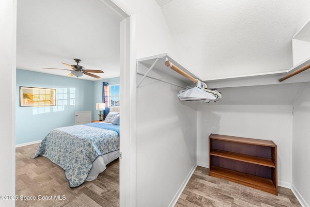 spacious closet with ceiling fan and light wood-type flooring