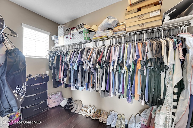 walk in closet featuring wood-type flooring