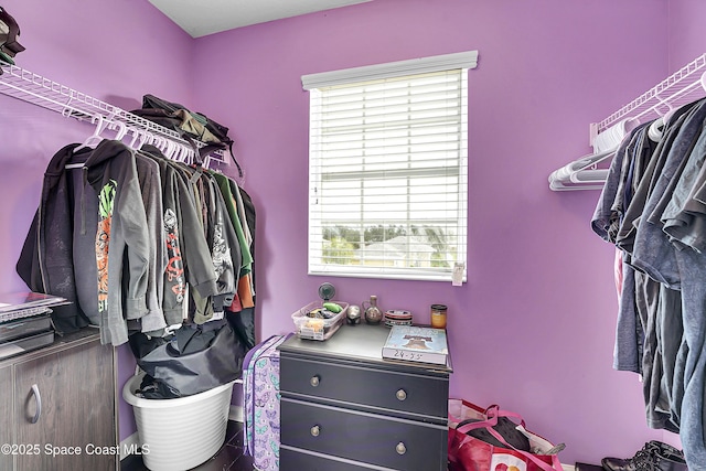 view of spacious closet