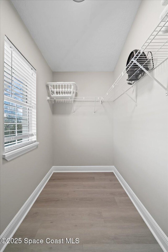 walk in closet featuring wood-type flooring