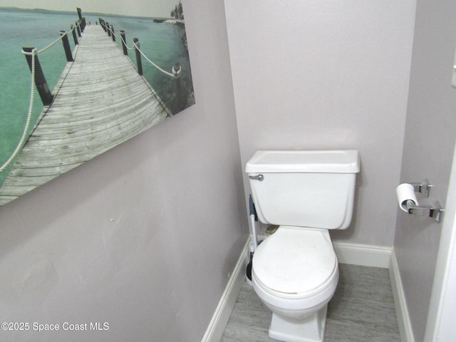 bathroom with wood-type flooring and toilet