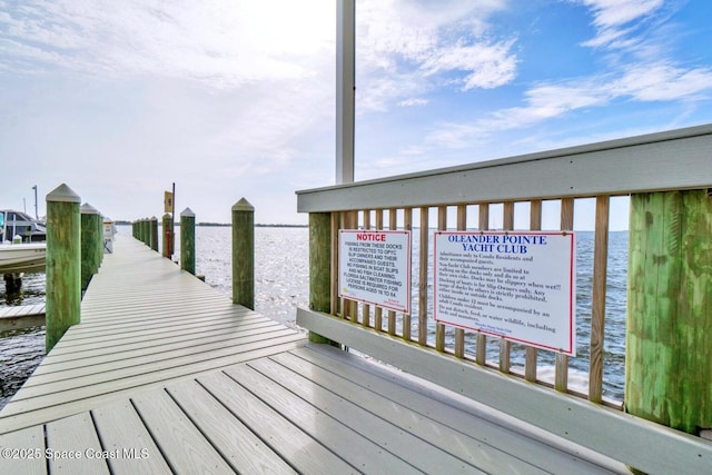 dock area with a water view