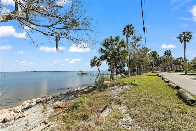 property view of water