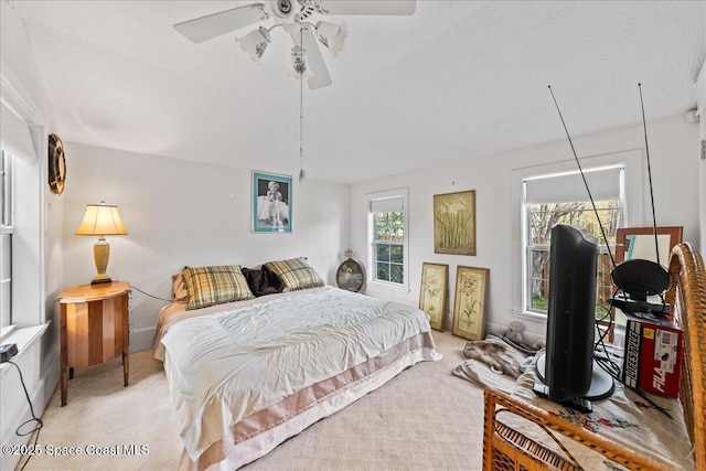 carpeted bedroom with multiple windows, ceiling fan, and a textured ceiling