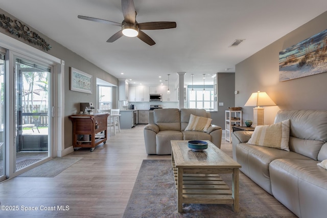 living room with ceiling fan and light wood-type flooring