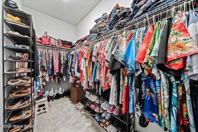 walk in closet featuring carpet flooring