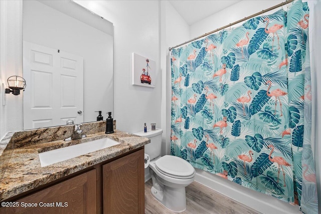 bathroom featuring vanity, hardwood / wood-style floors, and toilet