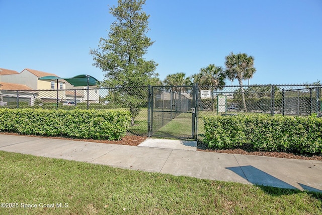 exterior space featuring a yard