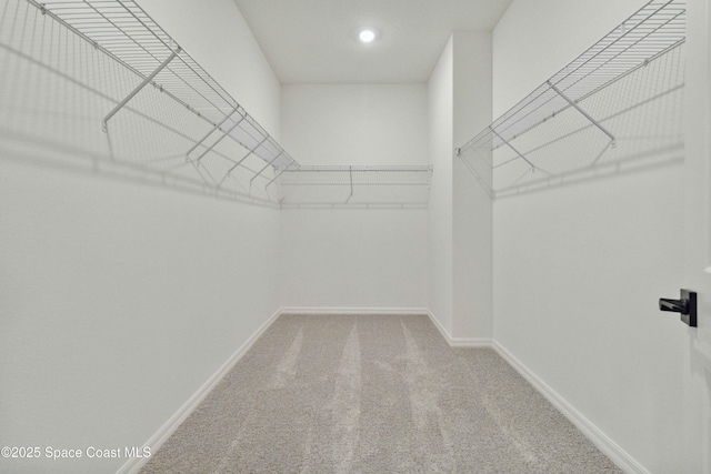 416 Glaspell Cir SE, Palm Bay, FL 32909 - spacious closet with carpet