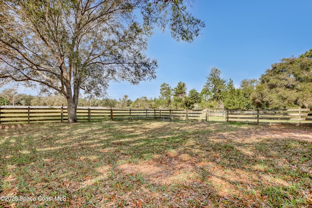 view of yard with a rural view