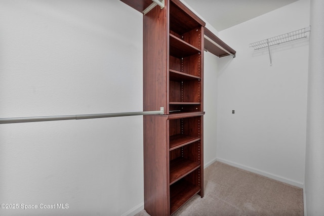 spacious closet featuring light carpet