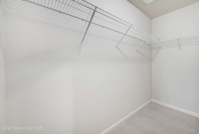 1425 Lara Cir Unit 103, Rockledge, FL 32955 - walk in closet with light carpet