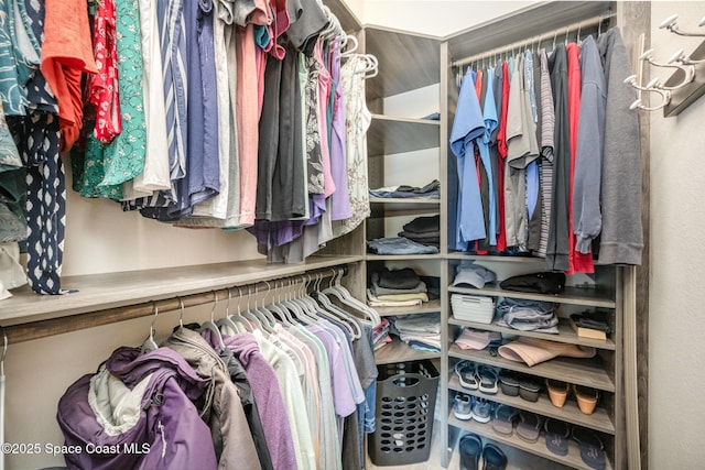 view of walk in closet