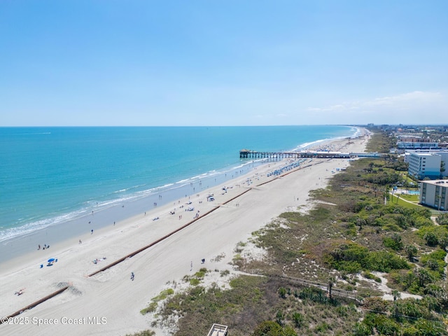 property view of water with a beach view