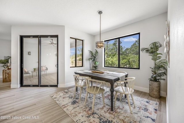 dining area featuring light hardwood / wood-style flooring