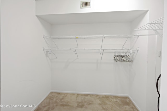 11 Plantation Dr Unit 201, Vero Beach, FL 32966 - spacious closet featuring light carpet