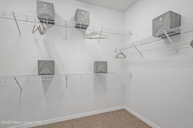 2496 Kamin Dr S, Melbourne, FL 32940 - spacious closet with carpet