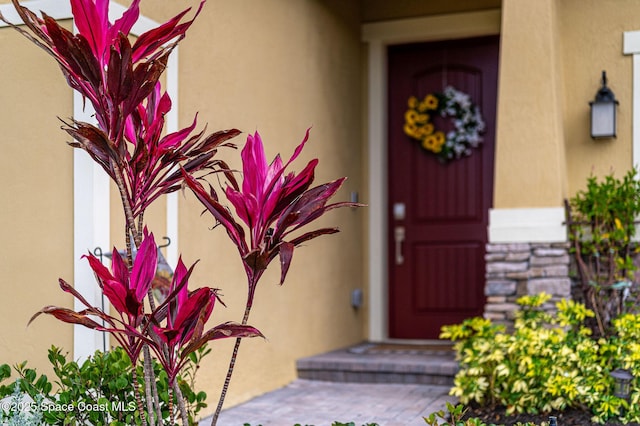 view of exterior entry featuring stucco siding