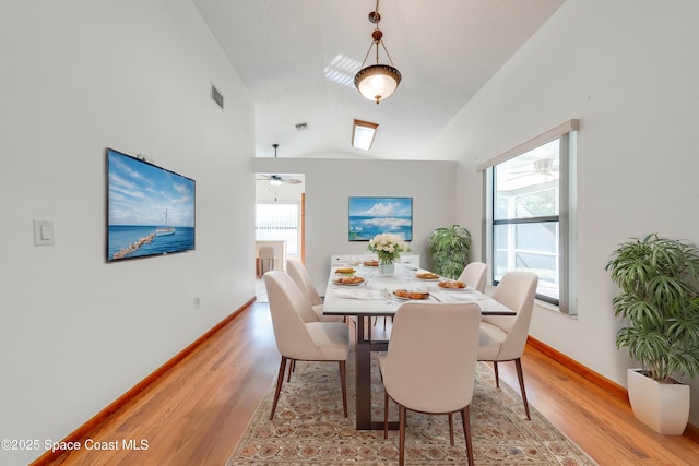 dining room featuring lofted ceiling, light hardwood / wood-style floors, and a wealth of natural light