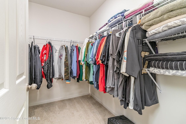 walk in closet featuring carpet floors