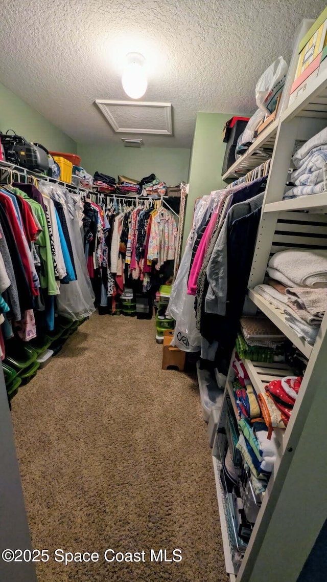 spacious closet featuring carpet floors