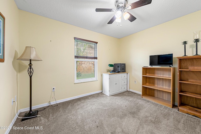 interior space featuring light carpet and a textured ceiling