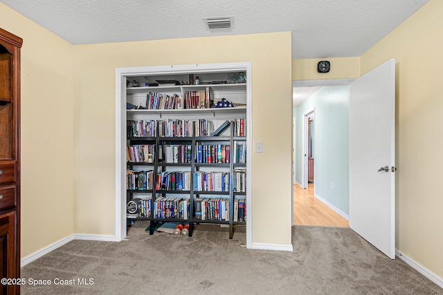 interior space featuring light carpet and a textured ceiling