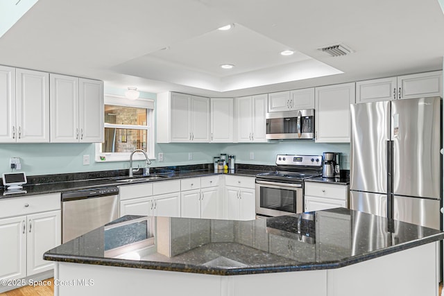 kitchen featuring white cabinetry, sink, stainless steel appliances, and a raised ceiling