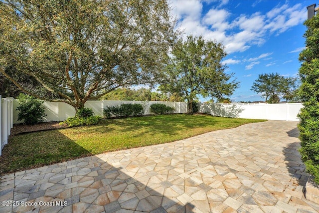 view of yard with a patio