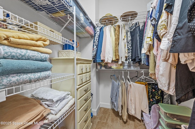 spacious closet with carpet