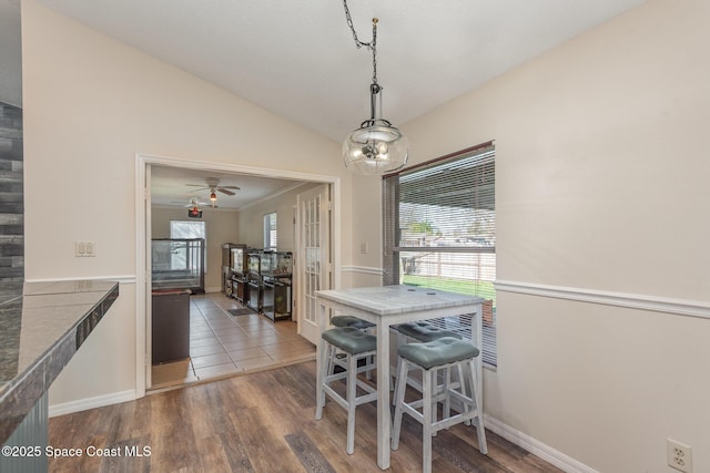 dining space featuring lofted ceiling and dark hardwood / wood-style flooring