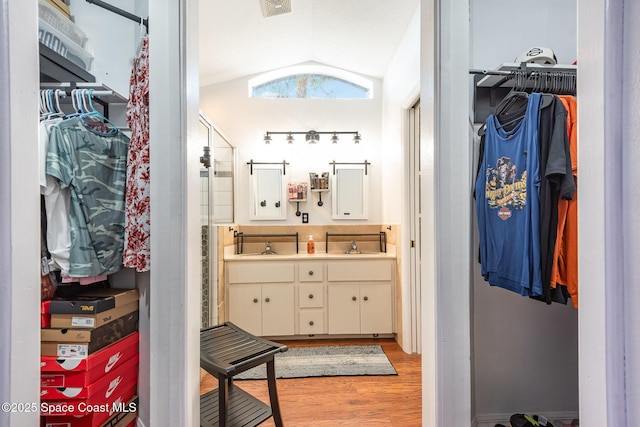 bathroom featuring lofted ceiling, wood-type flooring, and vanity