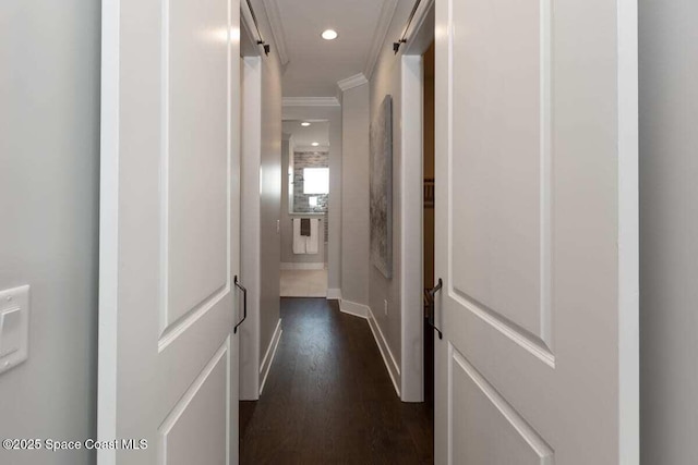 hallway featuring dark wood-type flooring and crown molding