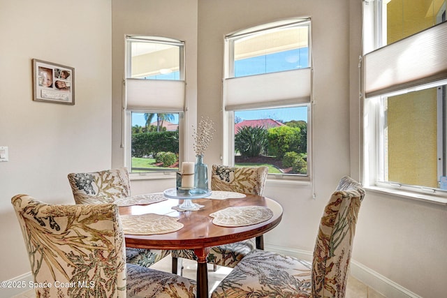 dining space with a healthy amount of sunlight and baseboards