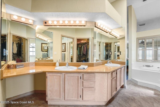 bathroom featuring vanity and a tub to relax in