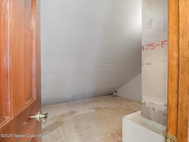 bathroom featuring lofted ceiling