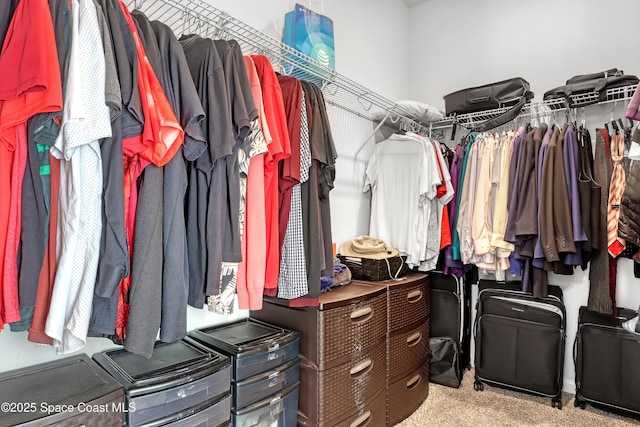 spacious closet with light carpet