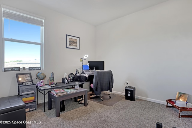 office space with light carpet