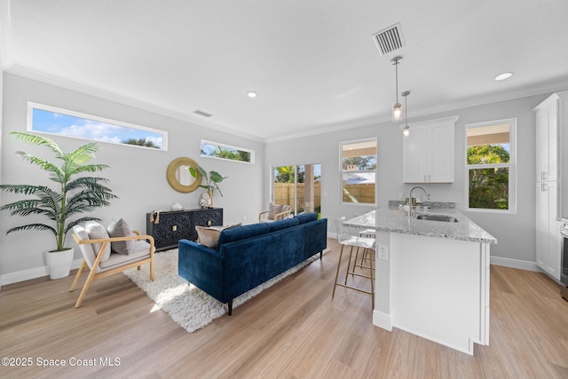 living room featuring sink, ornamental molding, and light hardwood / wood-style floors