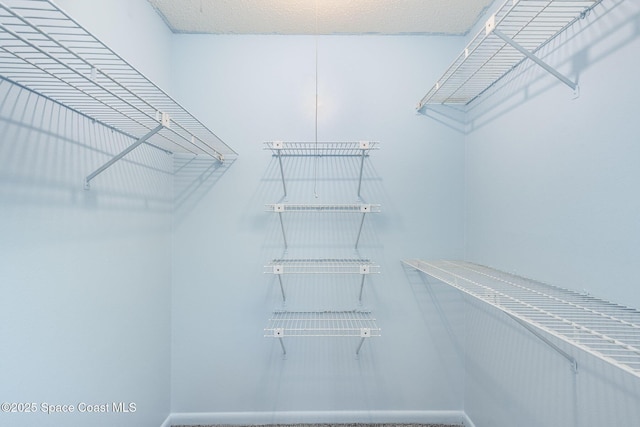 view of walk in closet