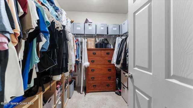 spacious closet with light colored carpet