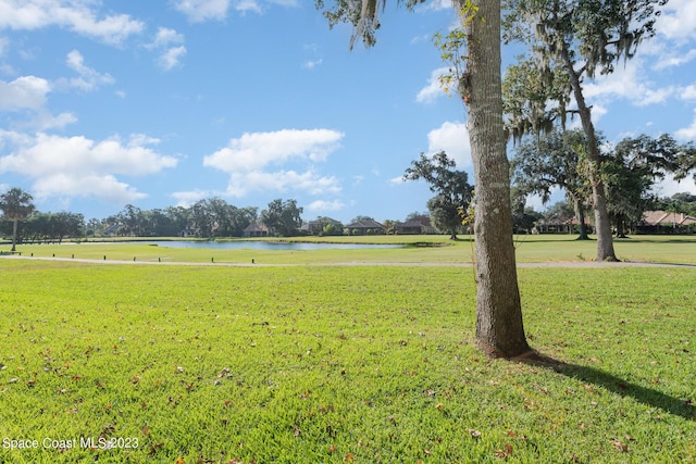 view of yard featuring a water view