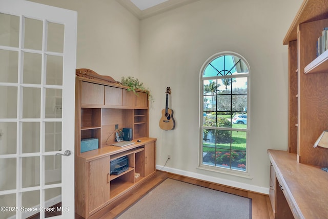 office space featuring hardwood / wood-style flooring and plenty of natural light